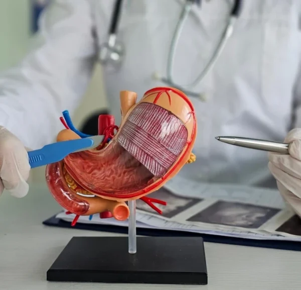 اسعار عملية تكميم المعدة في الاسكندرية اسعار عملية تكميم المعدة في الاسكندرية